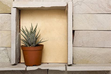 Window In A Stone Wall Stock Photo Image Of Fixed Cracked 68303192