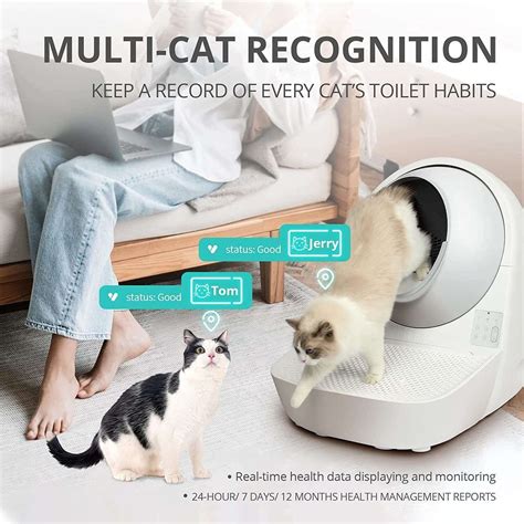 The Best Automatic Self Cleaning Cat Litter Box For Your Cat