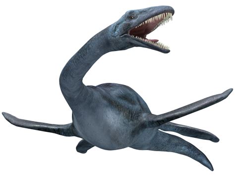 Bob strauss is a science writer and the author of several books, including the big book of what, how and why and a field guide to the dinosaurs of north. Elasmosaurus - Facts and Pictures