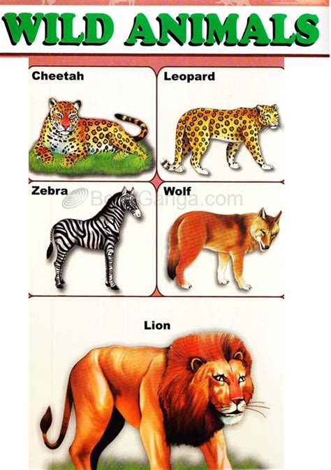 Wild Animals Educational Chart For Toddler A4 Laminated By Clever Kids