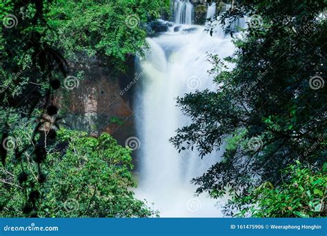 Stream Waterfall In Deep Forest Place For Recharge Your Energy Stock
