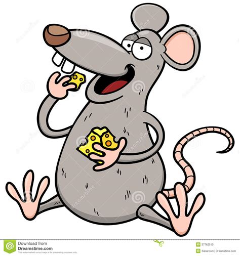 Cartoon Rat Stock Photo Image 37762510