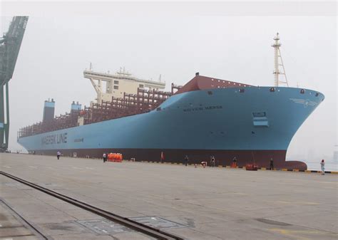 5000 20000t General Cargo Ship For Sale China Container Ship And