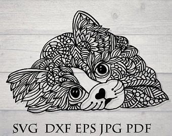 Download Lazy cat mandala svg / zentangle cat svg / flourish cat ...
