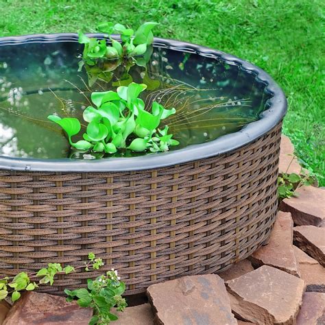 11 Raised Garden Pond Ideas With Pictures And Build Tips