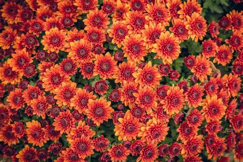 14 Clever Ways to Start Seeds | Winter plants, Fall plants, Fall garden