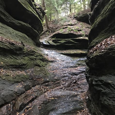 Nice Photo Of Turkey Run State Park In Indiana Rstateparks