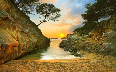 1124366 Sunlight Trees Landscape Sunset Sea Bay Rock Nature