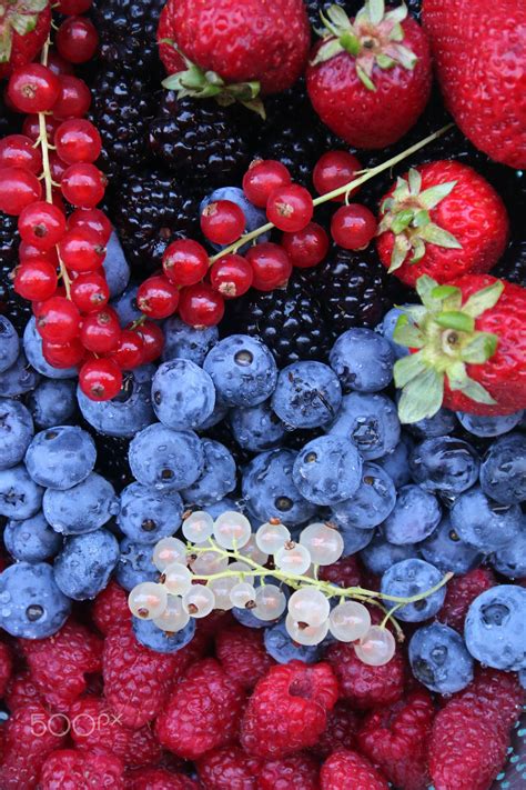 Summer berries (With images) | Summer berries, Berries, Fruits photos