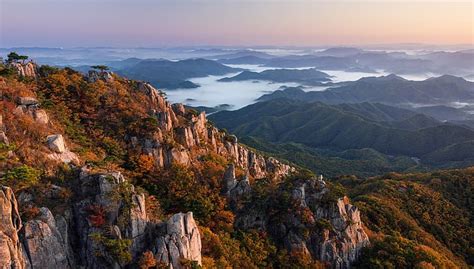 Forest Landscape South Korea Rocks Fog Hills Daejeon Nathaniel