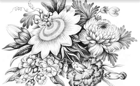 Museums release coloring books | 813 TRAVEL