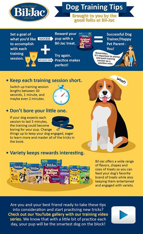 Infographic Dog Training Tips Dog Training Tips Dog Training Dog