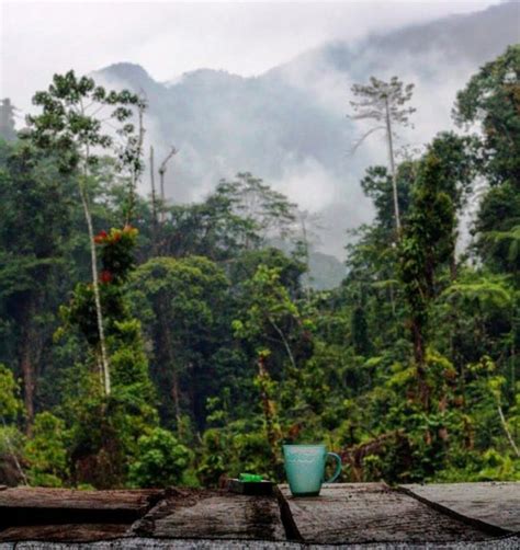 Filter pemasok terdapat 6402 penyuplai batu tebing, sebagian besar berlokasi di asia. Tebing Batu Napponol - 20 Surga Tersembunyi Di Kabupaten ...