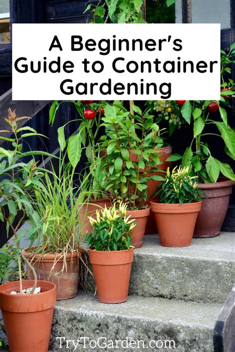 A Beginners Guide To Container Gardening Try To Garden