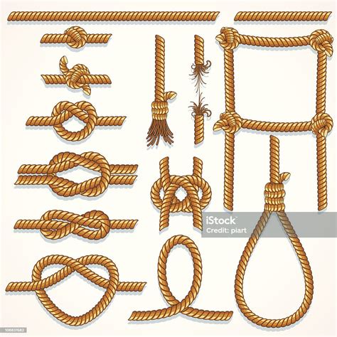 A Collection Of Drawings Of Various Ropes And Knots Stock Illustration