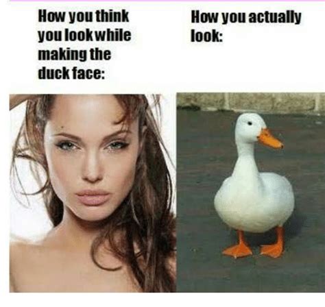 35 Duck Memes That Will Make You Quack All Day Duck Memes Duck Face