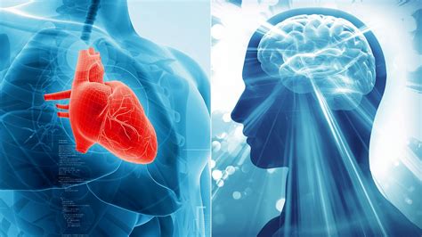 A Healthy Middle Aged Heart May Protect Your Brain Later Everyday Health