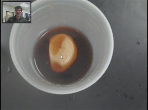 Start studying osmosis egg lab. Egg Osmosis Experiment - Mr Pauller - YouTube