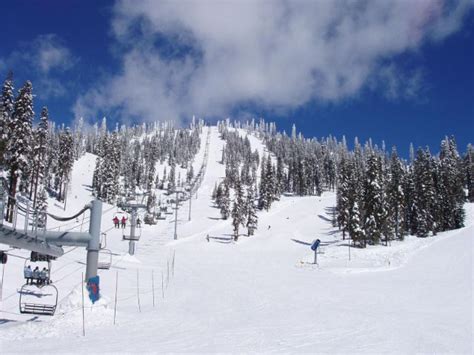 Mt Shasta Ski Park Lassen Park Welcome The White Stuff