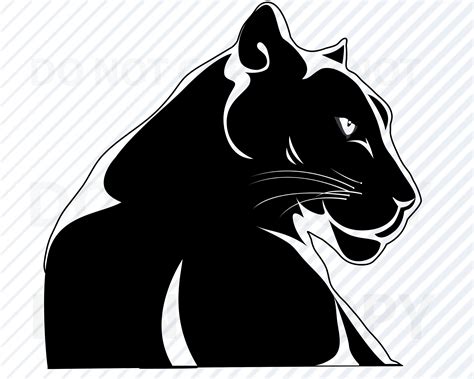 Panther Head Drawings