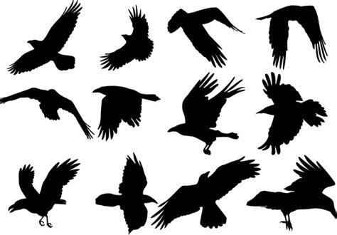Flying Raven Silhouette Free Vector Download 6530 Free Vector For