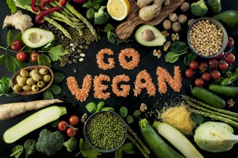 The Vegan Diet A Look At Sustainability Feast