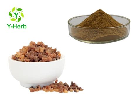 Discover exactly what commiphora mukul resin extract does for your skin. Gum Myrrh Resin Extract 10: 1 50: 1 Massal Organik ...