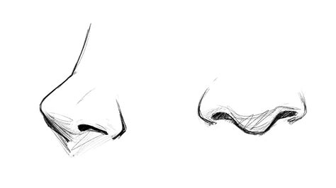 How To Draw Noses For Beginners Youtube