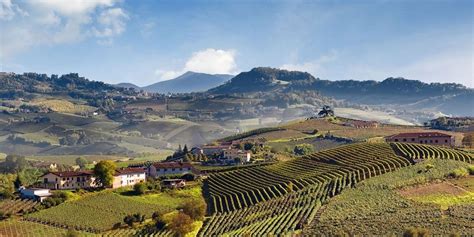 Tip vigna on a label indicates a single vineyard wine. Barolo Docg - Piemonte Land of Perfection