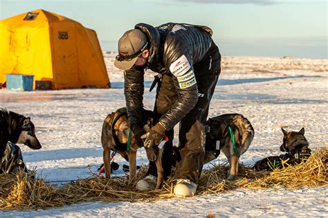 323a1463 Kaiser Racing Kennel Bethel Alaska