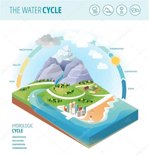 Detailed Hydrologic Cycle Diagram