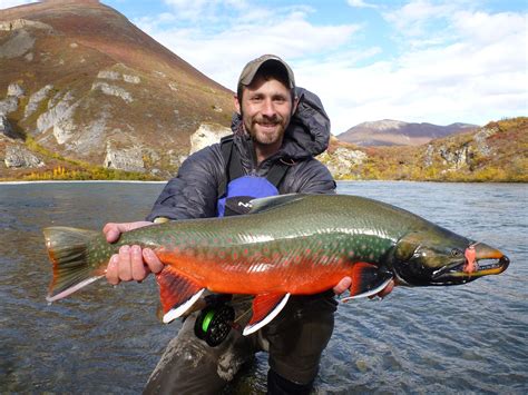 The 6 Best Things About World Class Alaska Fishing Wicklow Tours