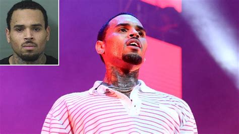 Chris Brown Arrested In Florida Access