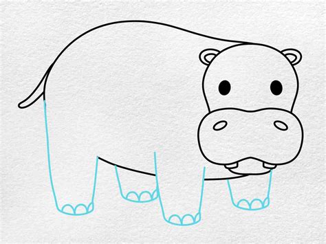 How To Draw A Hippo Step By Step For Kids