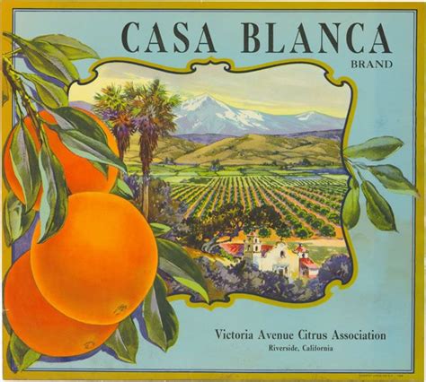 Citrus Label Collection Casa Blanca Brand 2 Orange Crate