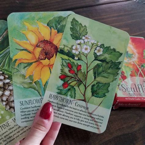 Top 7 best oracle card decks for beginners. 4 of the BEST Oracle Decks for Green Witches ...