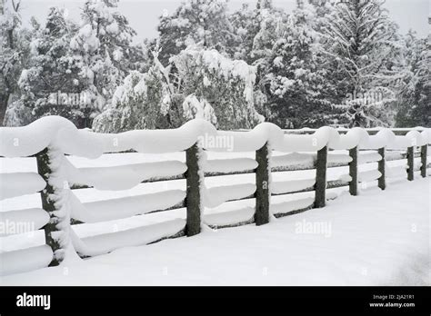 Late Spring snowstorm in Colorado Springs, May 20-21, 2022 Stock Photo