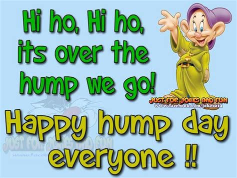 Happy Hump Day Everyone Pictures Photos And Images For
