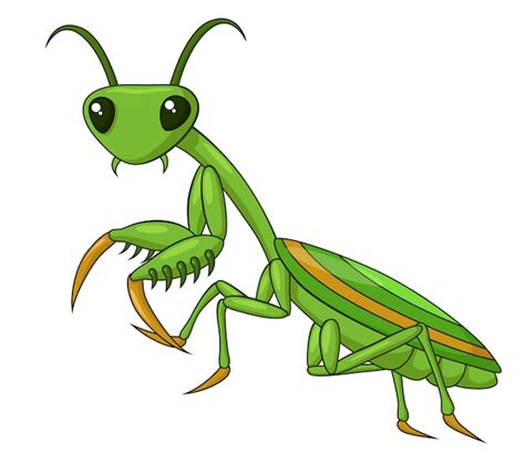 Premium Vector Adorable Praying Mantis Cartoon