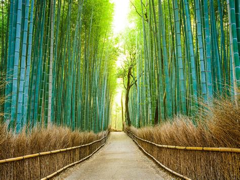 25 Most Beautiful Places In Japan Condé Nast Traveler