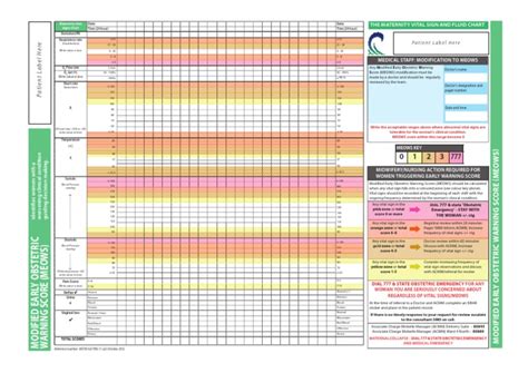Wellington 48hr Meows Chart V5 Blood Pressure Medicine