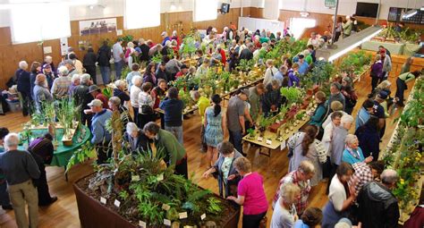 Only In Oregon Glide Wildflower Show Bandon News
