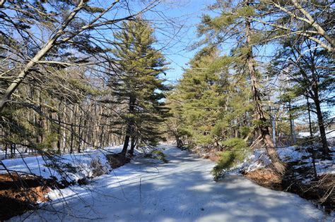 Walking Through Mine Falls Park Nh Winter 2021