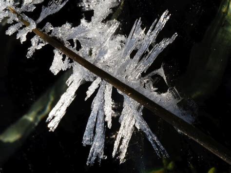 Premium Photo Original Ice Crystals On Plants