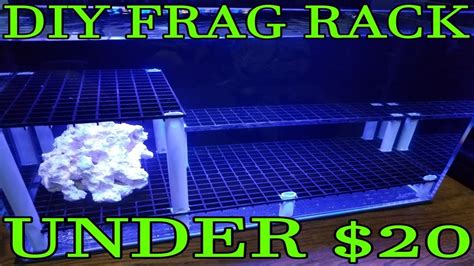 Check spelling or type a new query. DIY Frag Rack For Under $20 - YouTube
