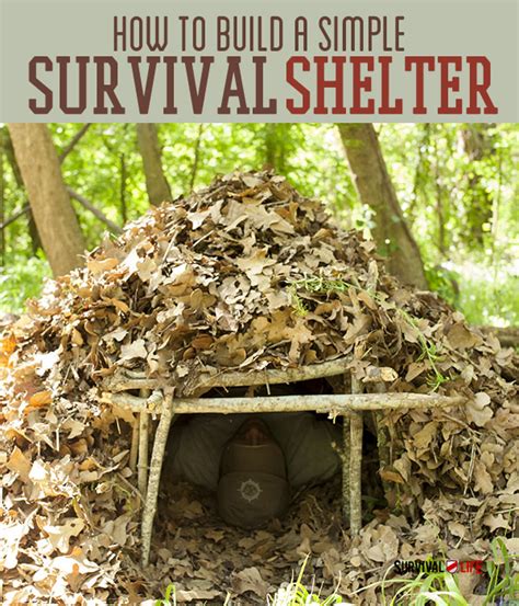 Emergency Shelter Diy Survival Skills Emergency Shelter Survival Tips