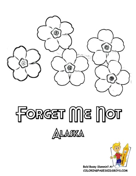 Forget Me Not Flower Coloring Page