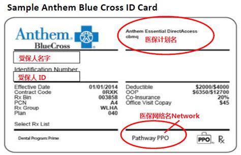 Policy Number On Anthem Insurance Card Identification Id Cards On