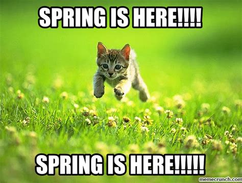 11 First Day Of Spring 2018 Memes That Capture Just How Desperate