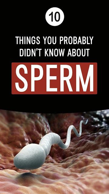 Things You Probably Didnt Know About Sperm Wellness Magazine